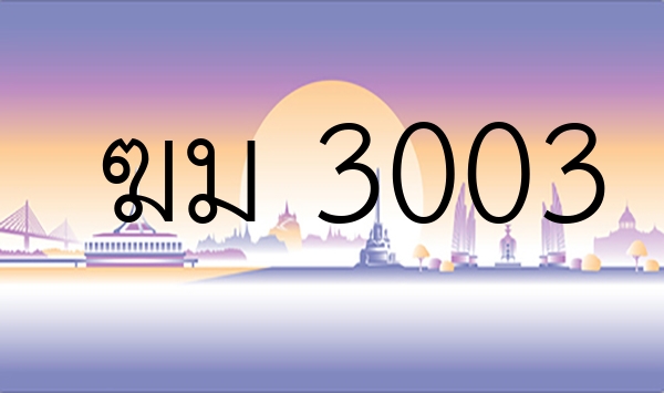 ฆม 3003